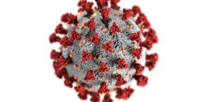 Investor Insights: March Coronavirus Update