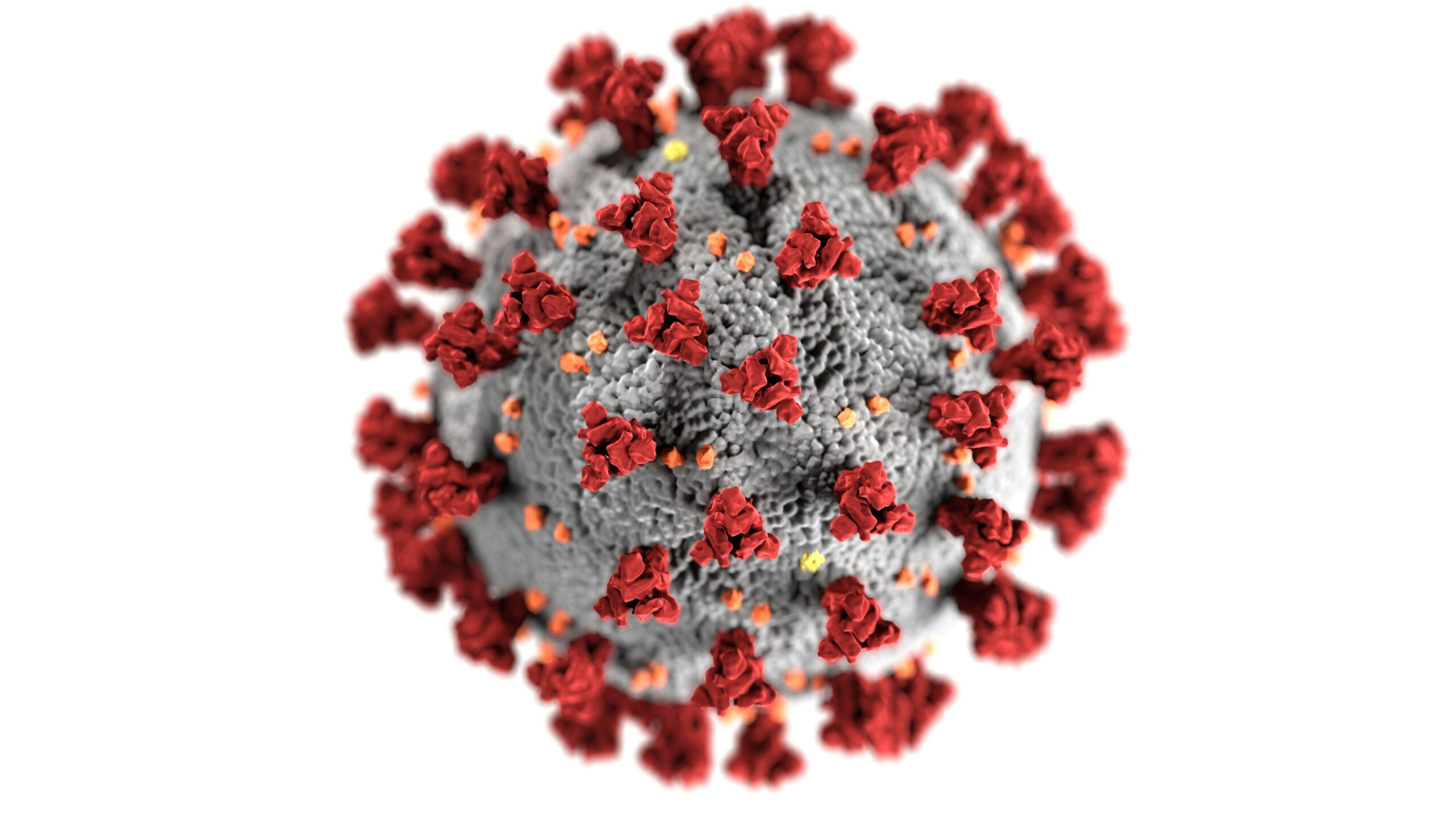 Investor Insights: March Coronavirus Update